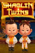 Shaolin Twins